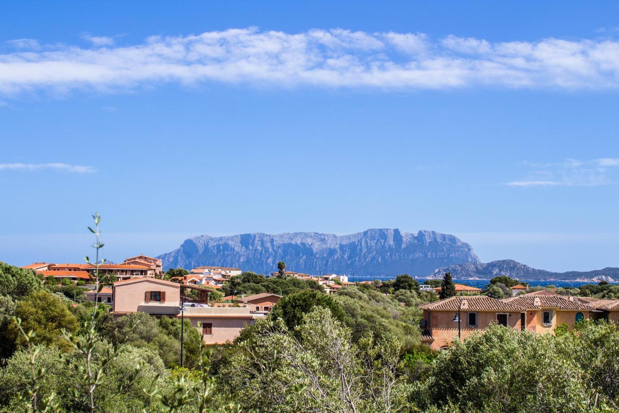 Rovo House, Pittulongu, Olbia, Sardinia Villa Eksteriør bilde